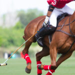 polo player and horse in Argentine countryside