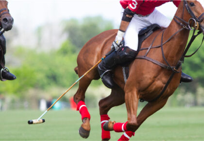 polo player and horse in Argentine countryside