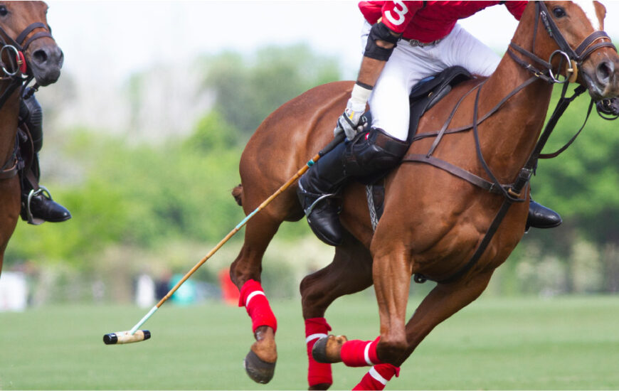 polo player and horse in Argentine countryside